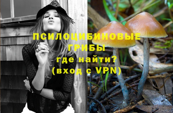 первитин Белоозёрский
